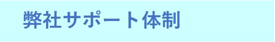 ЃT|[g̐